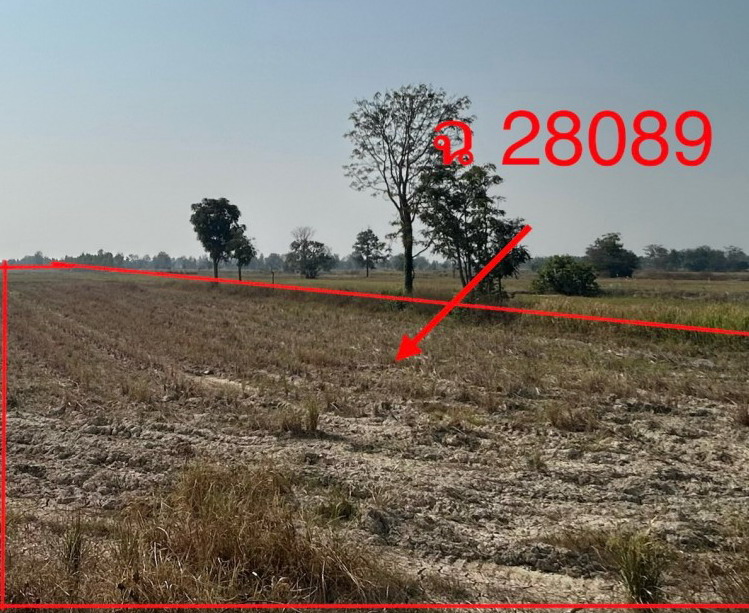 รูปที่ดินว่างเปล่า คลองขลุง คลองขลุง กำแพงเพชร