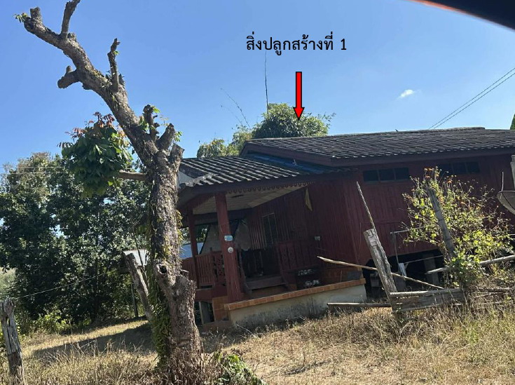 รูปที่ดินพร้อมสิ่งปลูกสร้าง แม่เจดีย์ใหม่ เวียงป่าเป้า เชียงราย