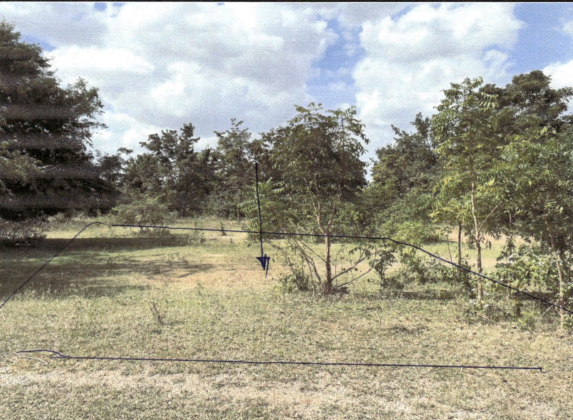 รูปที่ดินว่างเปล่า ทุ่งอรุณ โชคชัย นครราชสีมา