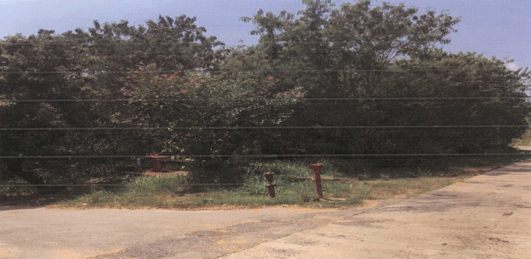 รูปที่ดินว่างเปล่า สัตหีบ สัตหีบ ชลบุรี