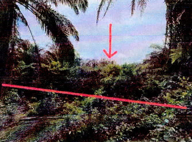รูปที่ดินว่างเปล่า บ่อทอง หนองจิก ปัตตานี