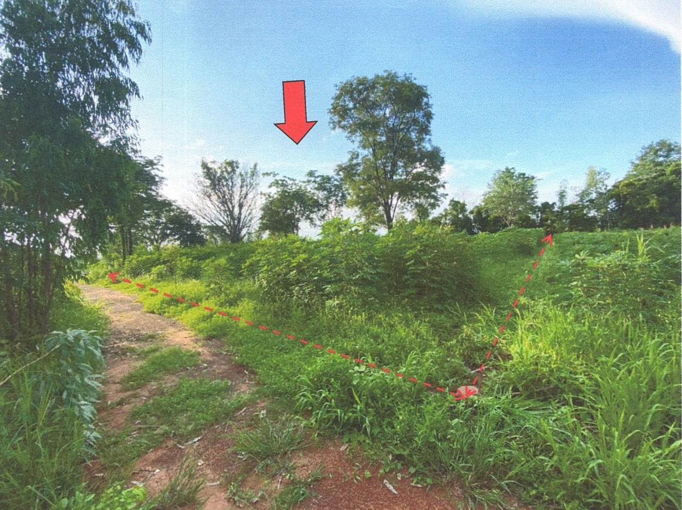 รูปที่ดินว่างเปล่า หว้าทอง ภูเวียง ขอนแก่น