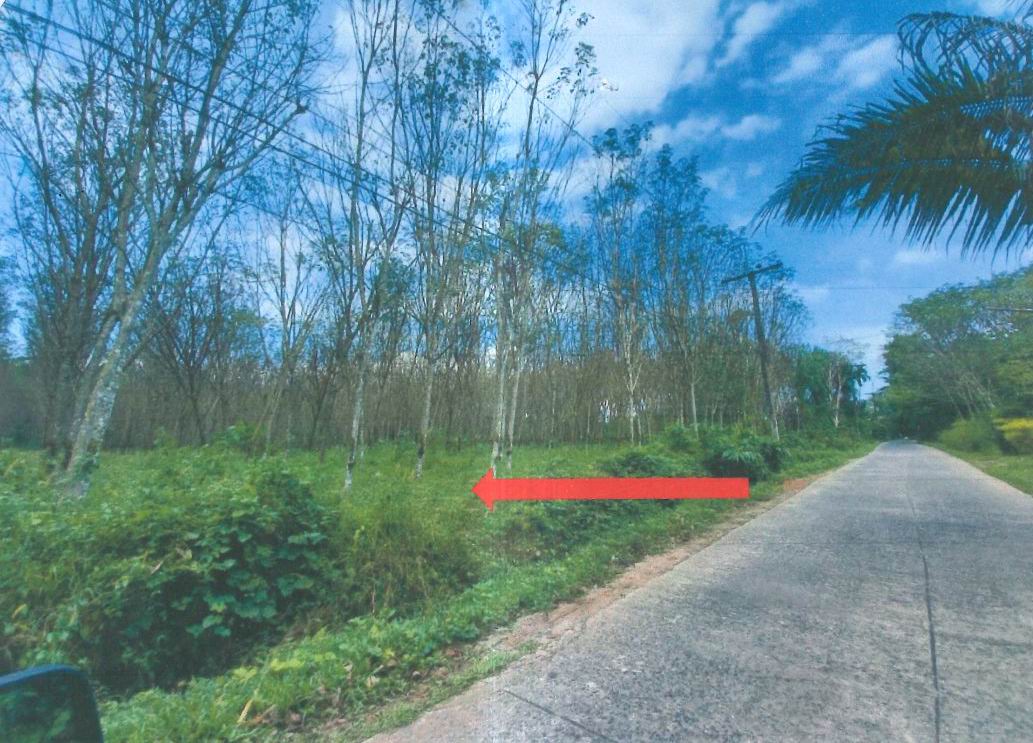 รูปที่ดินว่างเปล่า บ้านชะอวด จุฬาภรณ์ นครศรีธรรมราช