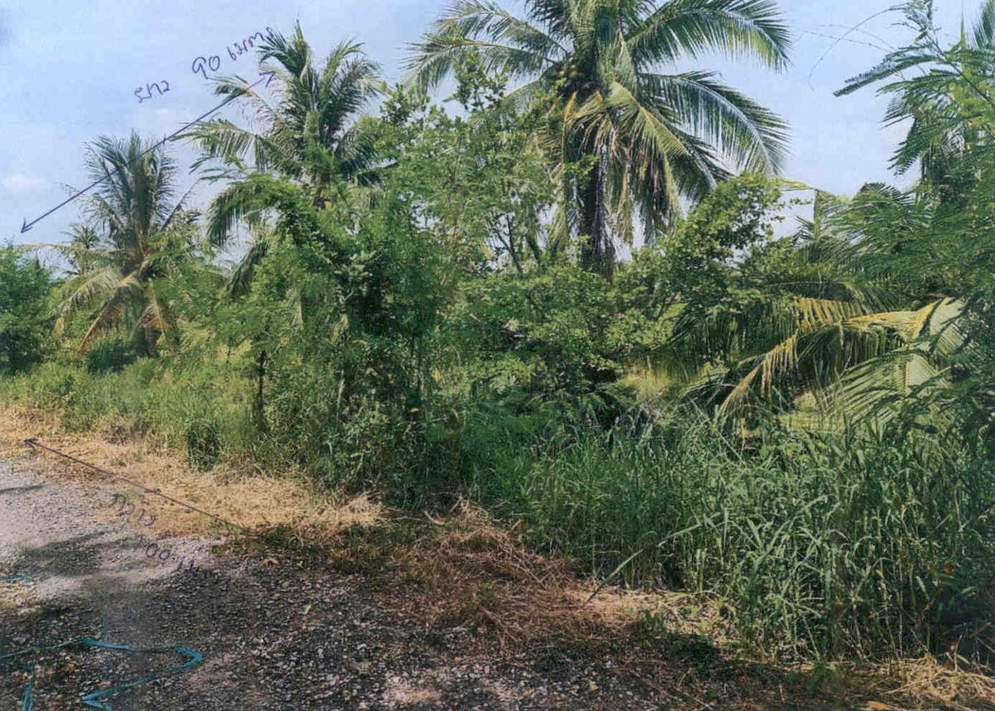 รูปที่ดินว่างเปล่า ท่าข้าม บางขุนเทียน กรุงเทพมหานคร