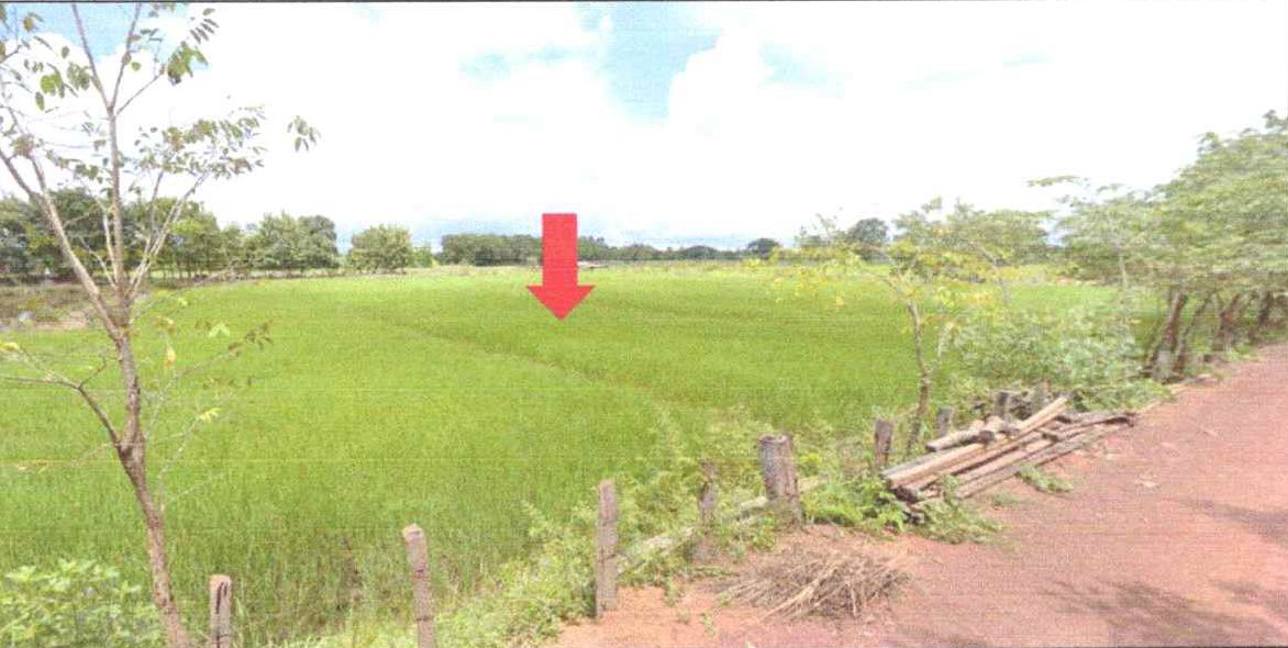 รูปที่ดินว่างเปล่า ขัวก่าย วานรนิวาส สกลนคร