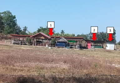 รูปที่ดินพร้อมสิ่งปลูกสร้าง ภูดิน เมืองกาฬสินธุ์ กาฬสินธุ์