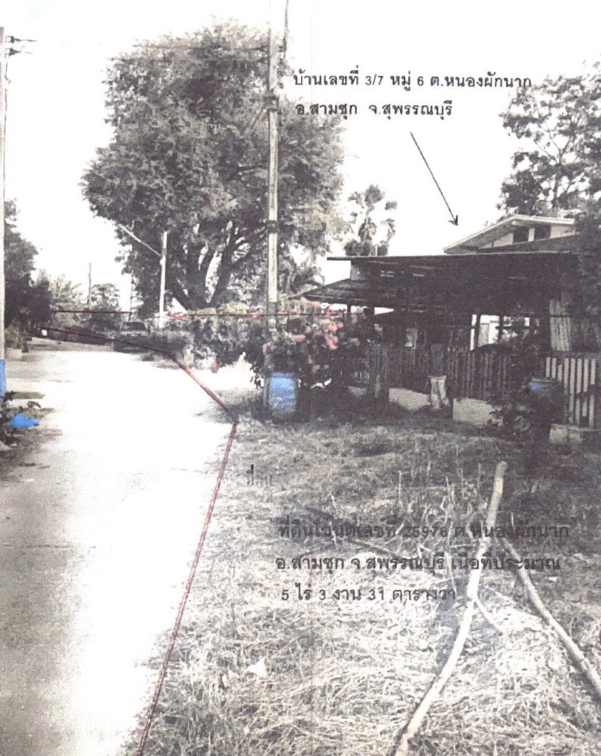 รูปที่ดินพร้อมสิ่งปลูกสร้าง หนองผักนาก สามชุก สุพรรณบุรี