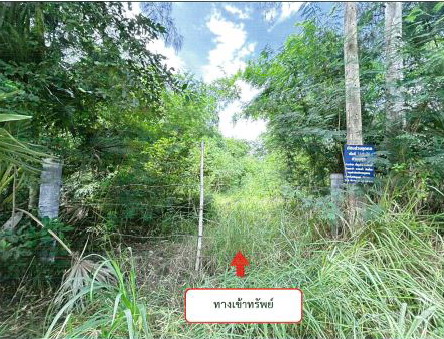 รูปที่ดินว่างเปล่า บึงอ้อ ขามทะเลสอ นครราชสีมา