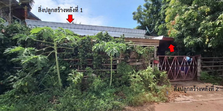 รูปที่ดินพร้อมสิ่งปลูกสร้าง สมอแข เมืองพิษณุโลก พิษณุโลก