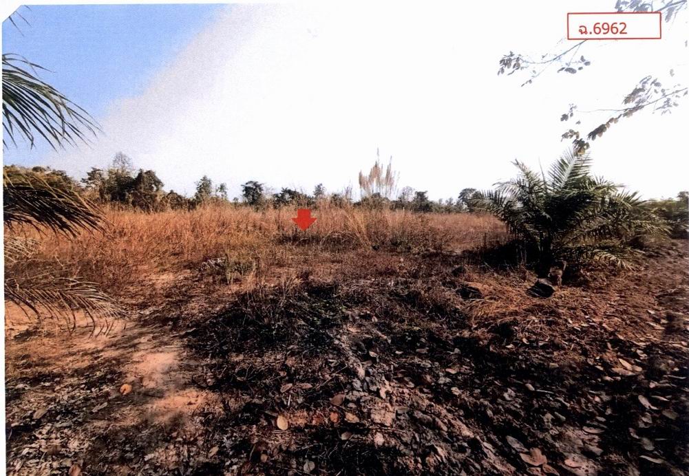 รูปที่ดินว่างเปล่า ม่วง บ้านม่วง สกลนคร