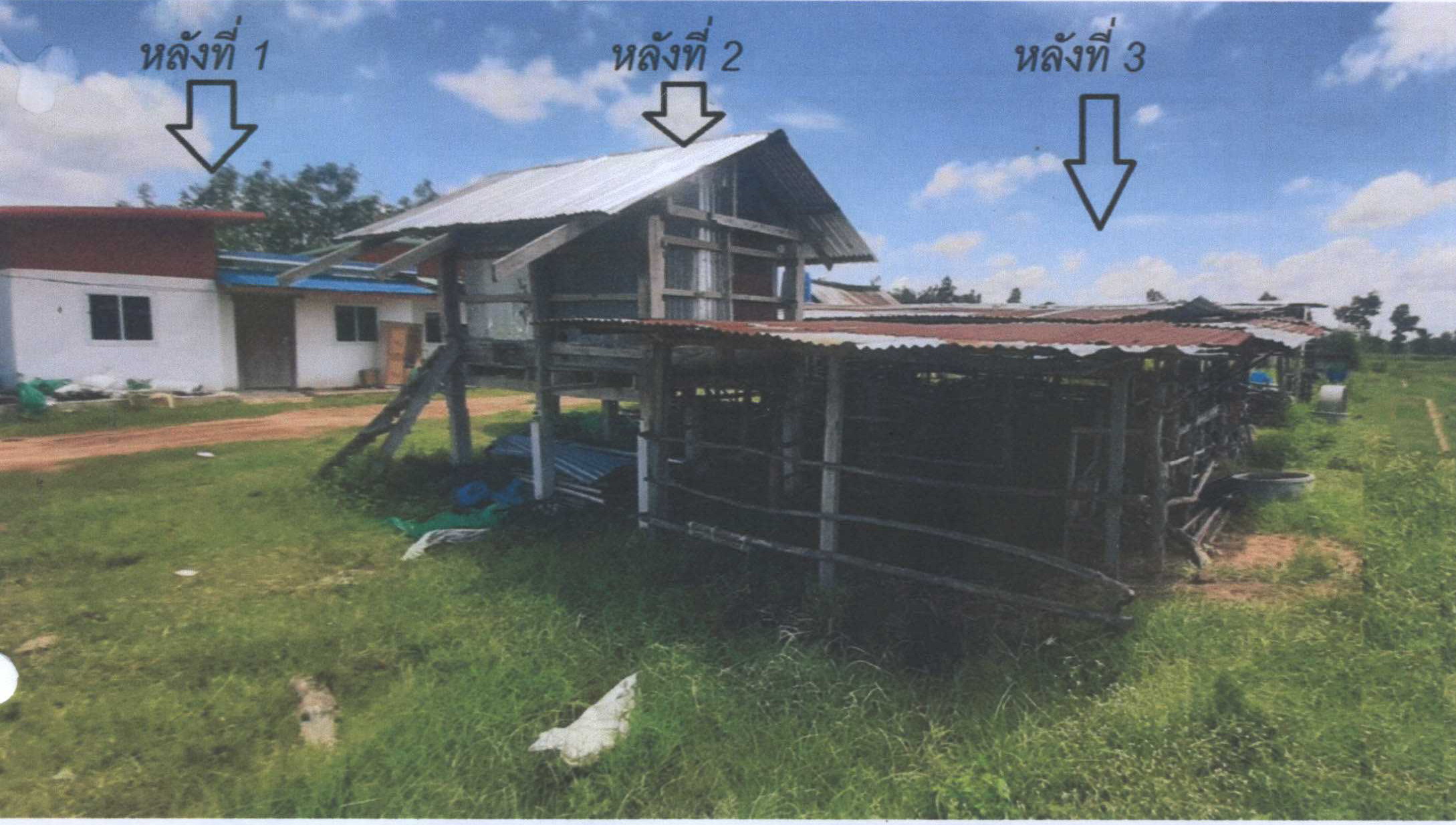 รูปที่ดินพร้อมสิ่งปลูกสร้าง โคกสำราญ เลิงนกทา ยโสธร