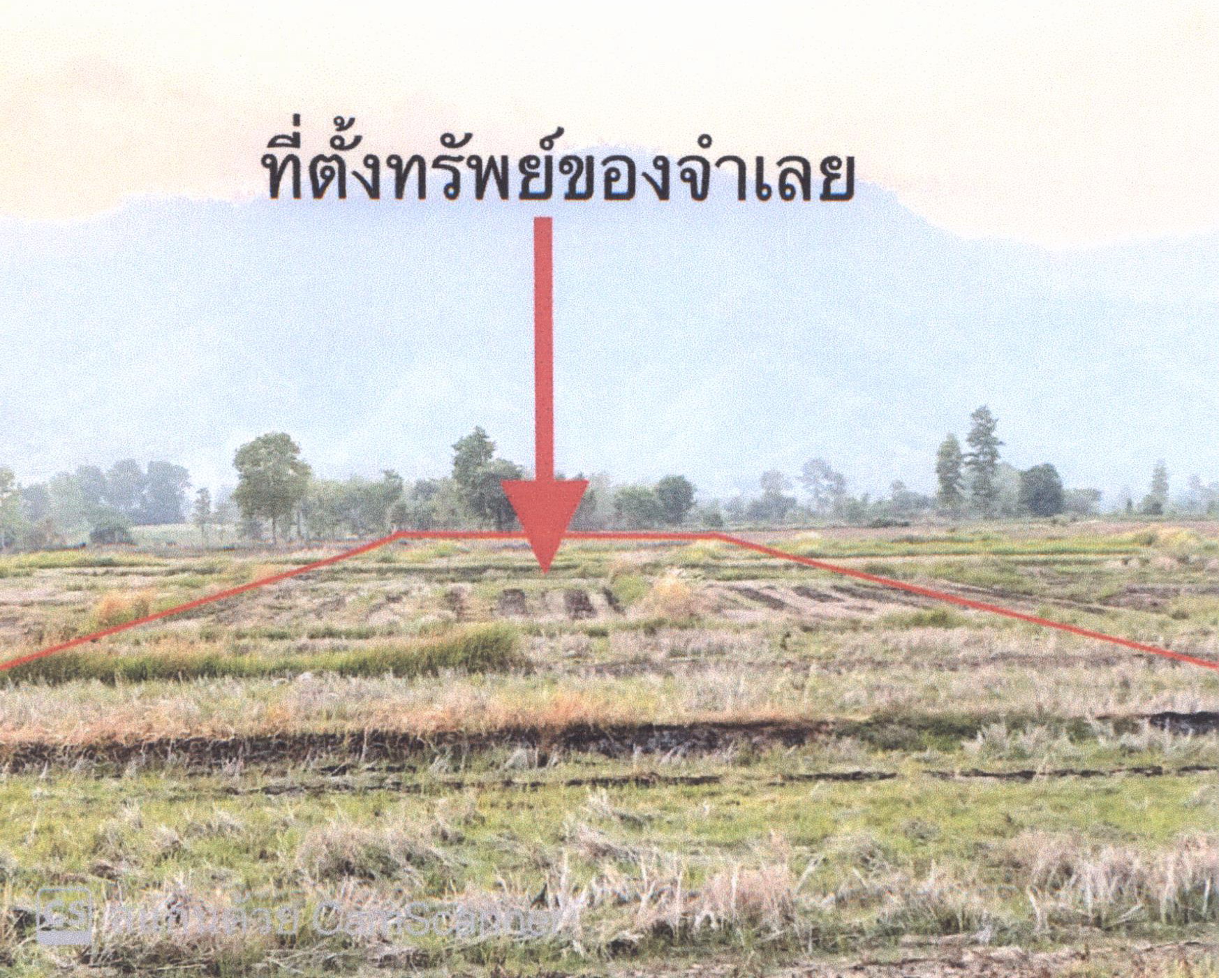 รูปที่ดินว่างเปล่า หนองม่วงไข่ หนองม่วงไข่ แพร่