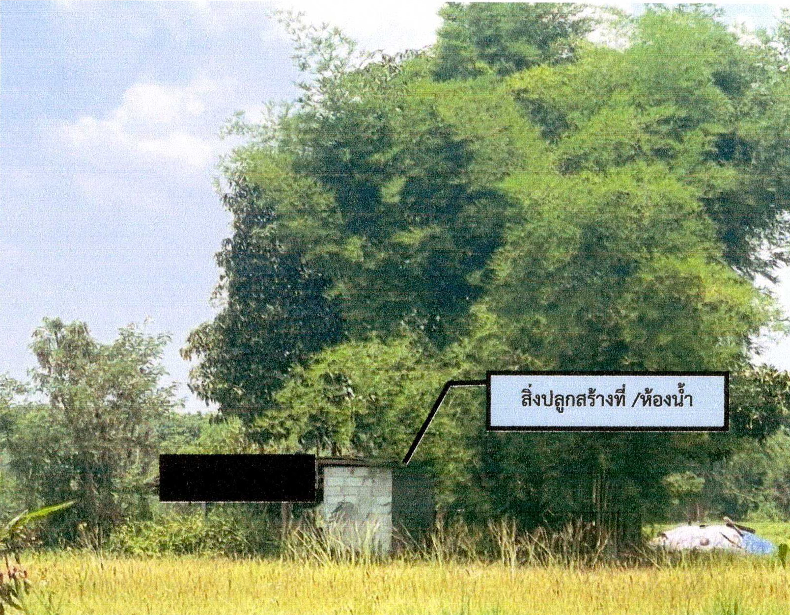 รูปที่ดินพร้อมสิ่งปลูกสร้าง บ้านเดื่อ เมืองหนองคาย หนองคาย
