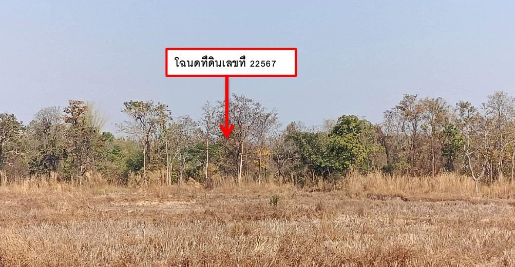รูปที่ดินว่างเปล่า สว่าง พรรณานิคม สกลนคร