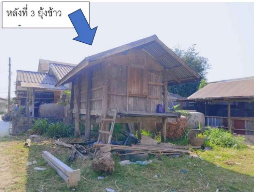 รูปที่ดินพร้อมสิ่งปลูกสร้าง หินตั้ง บ้านไผ่ ขอนแก่น
