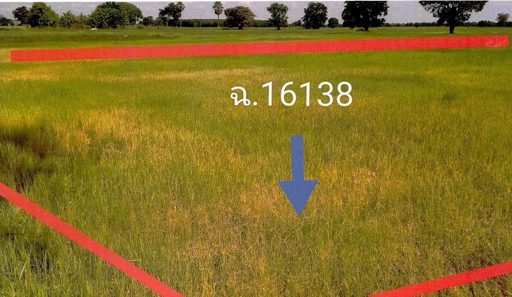 รูปที่ดินว่างเปล่า จอมพระ จอมพระ สุรินทร์