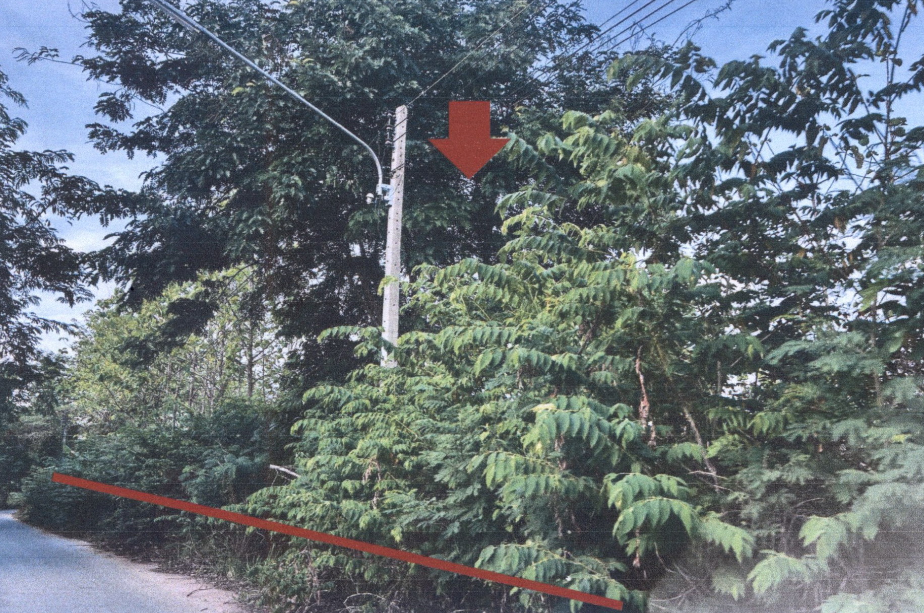 รูปที่ดินว่างเปล่า โนนศิลา โนนศิลา ขอนแก่น