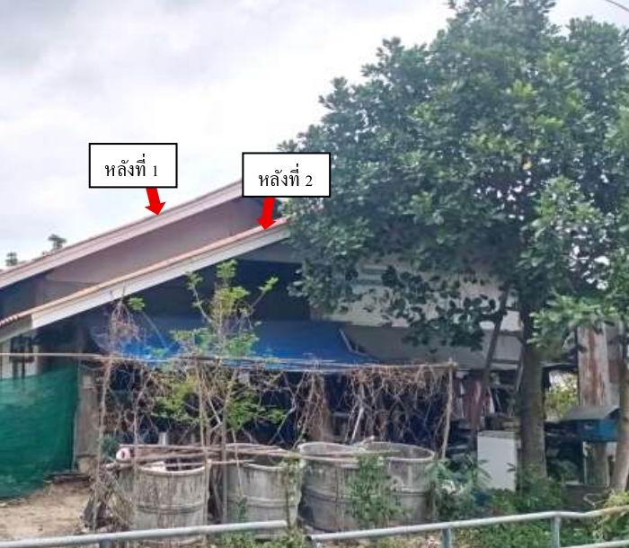รูปที่ดินพร้อมสิ่งปลูกสร้าง ดอนศรีชุม ดอกคำใต้ พะเยา