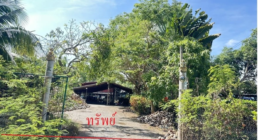 รูปที่ดินพร้อมสิ่งปลูกสร้าง ตาหลวง ดำเนินสะดวก ราชบุรี