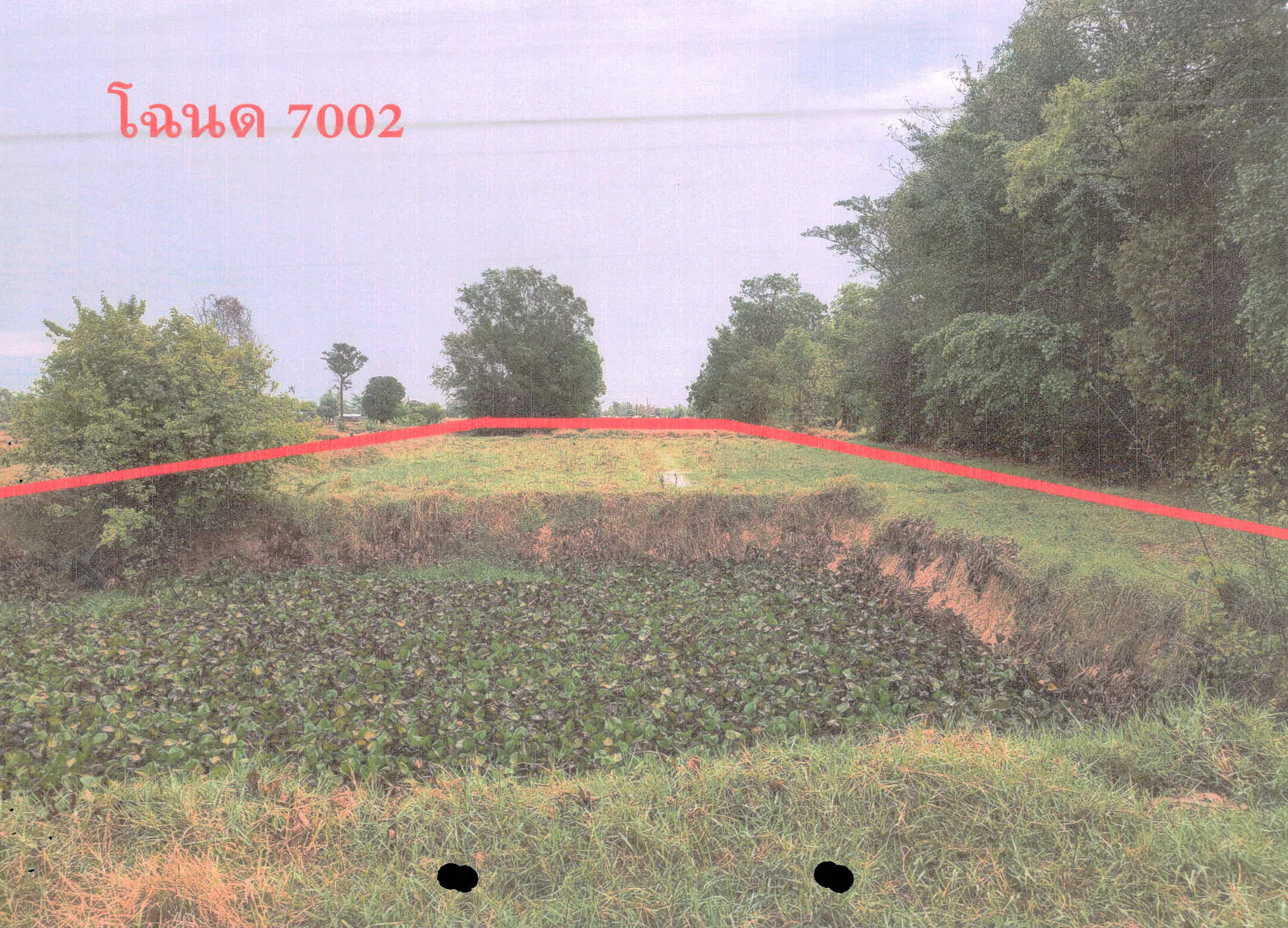 รูปที่ดินว่างเปล่า บุสูง วังหิน ศรีสะเกษ