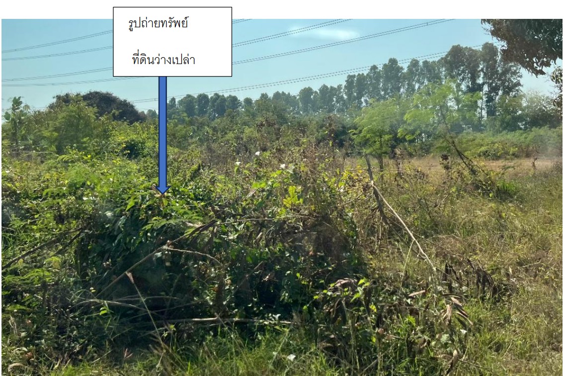 รูปที่ดินว่างเปล่า วังน้ำเขียว กำแพงแสน นครปฐม