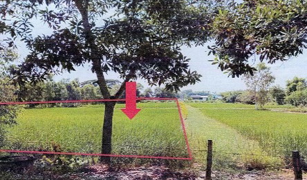 รูปที่ดินว่างเปล่า เหล่าโพนค้อ โคกศรีสุพรรณ สกลนคร