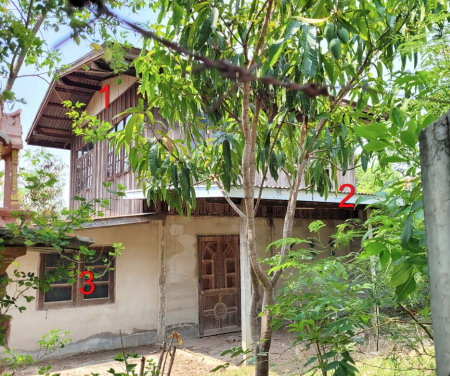 รูปที่ดินพร้อมสิ่งปลูกสร้าง สิงห์โคก เกษตรวิสัย ร้อยเอ็ด
