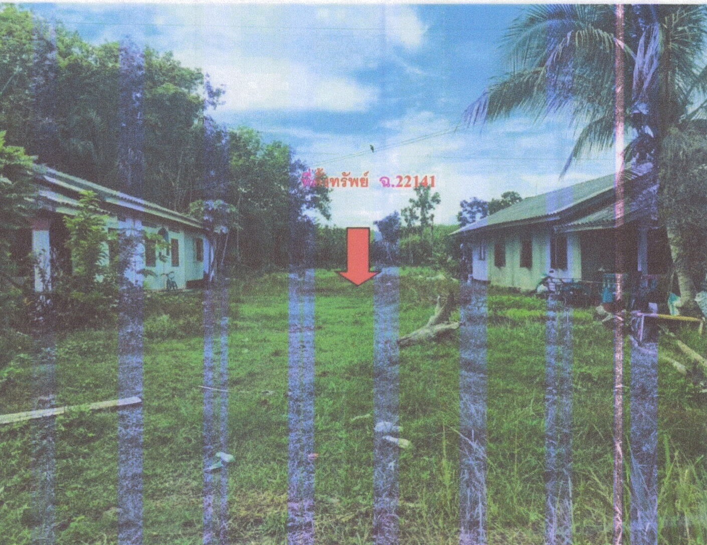 รูปที่ดินว่างเปล่า คลองขนาน เหนือคลอง กระบี่