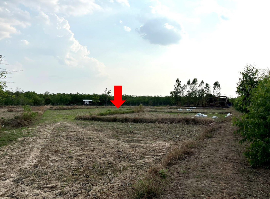 รูปที่ดินว่างเปล่า เชิงชุม พรรณานิคม สกลนคร