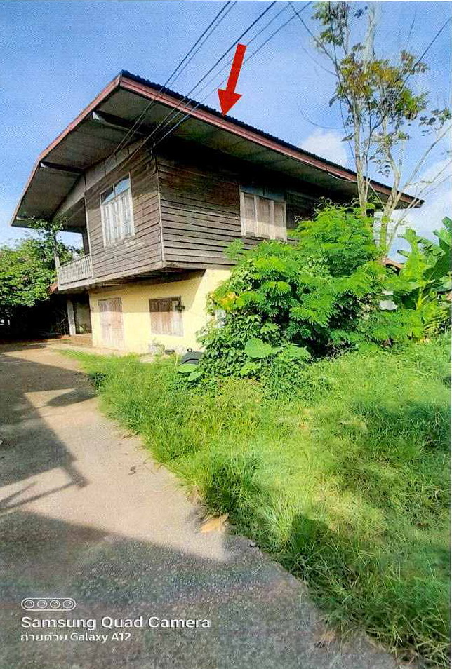 รูปที่ดินพร้อมสิ่งปลูกสร้าง ผาตั้ง สังคม หนองคาย