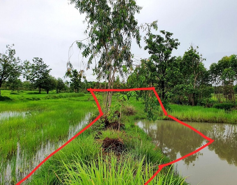 รูปที่ดินว่างเปล่า เชิงชุม พรรณานิคม สกลนคร