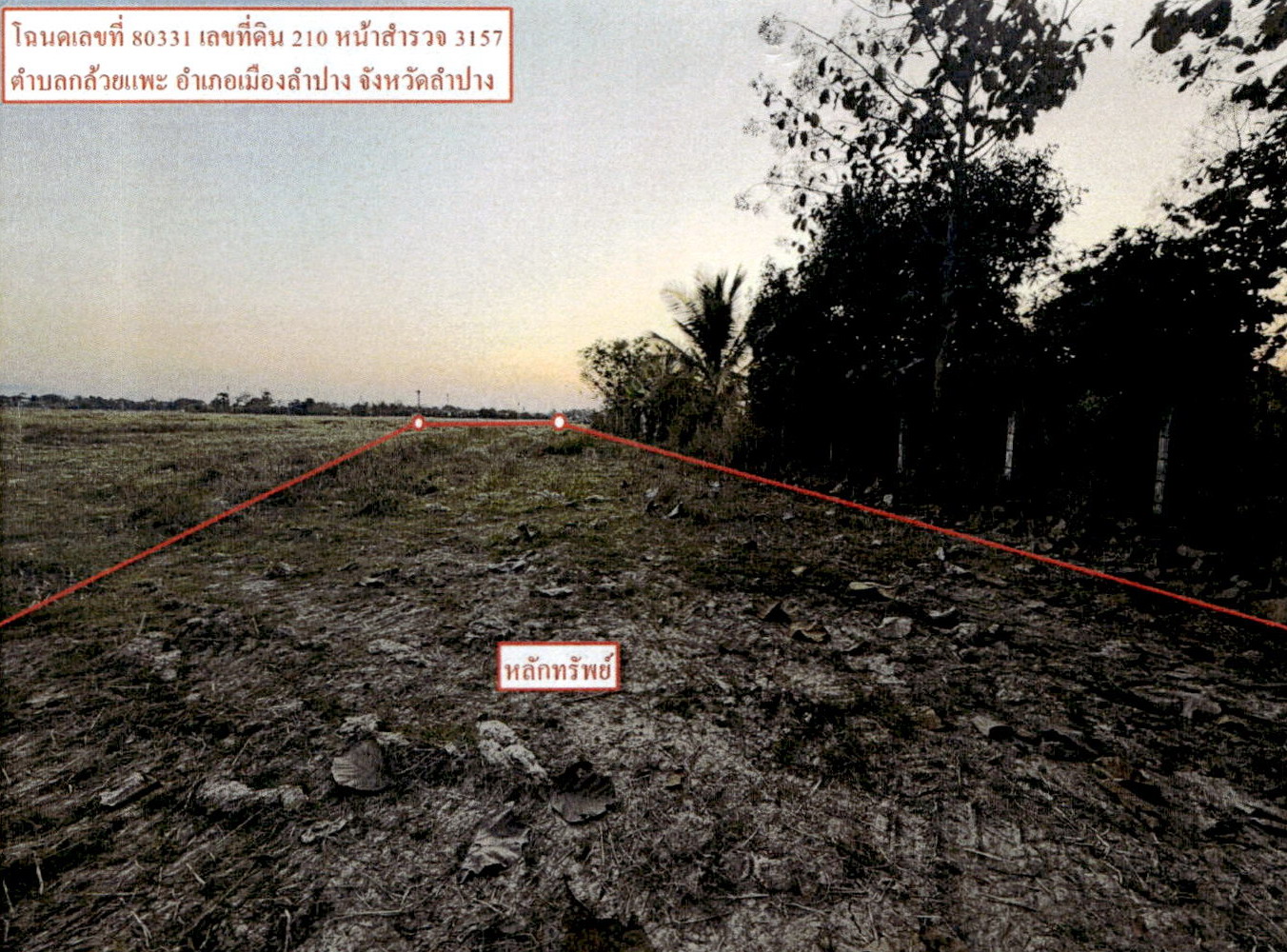 รูปที่ดินว่างเปล่า กล้วยแพะ เมืองลำปาง ลำปาง
