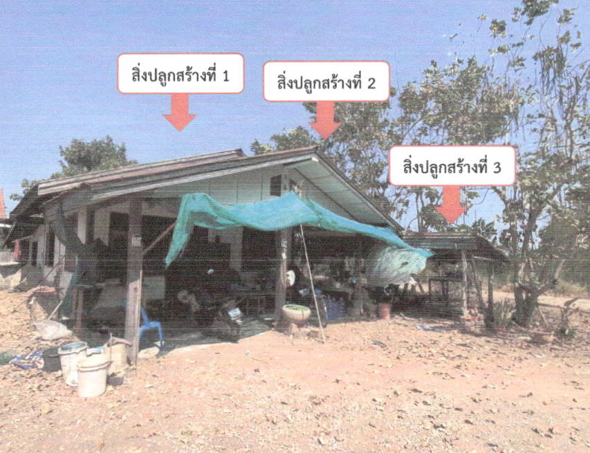 รูปที่ดินพร้อมสิ่งปลูกสร้าง หนองบัวใหญ่ จัตุรัส ชัยภูมิ