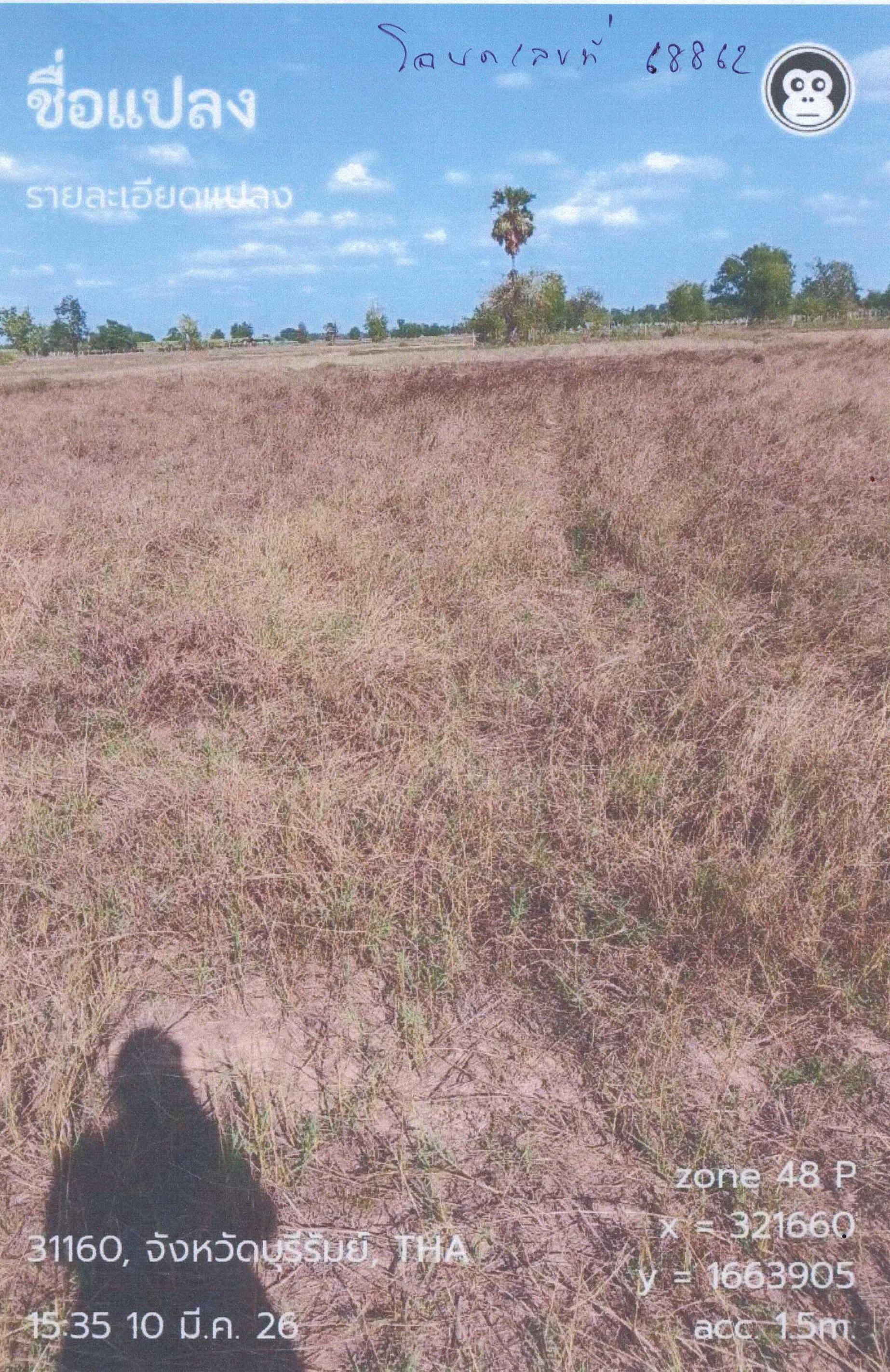 รูปที่ดินว่างเปล่า ศรีภูมิ กระสัง บุรีรัมย์