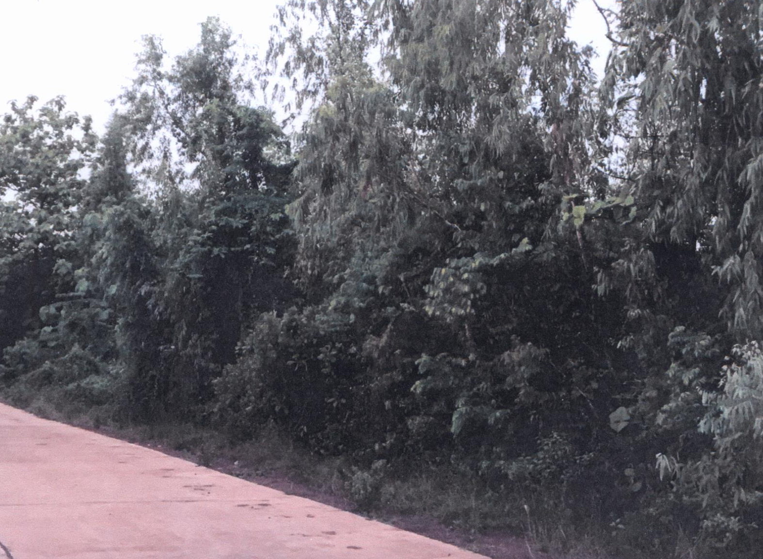 รูปที่ดินว่างเปล่า หนองสนม วานรนิวาส สกลนคร