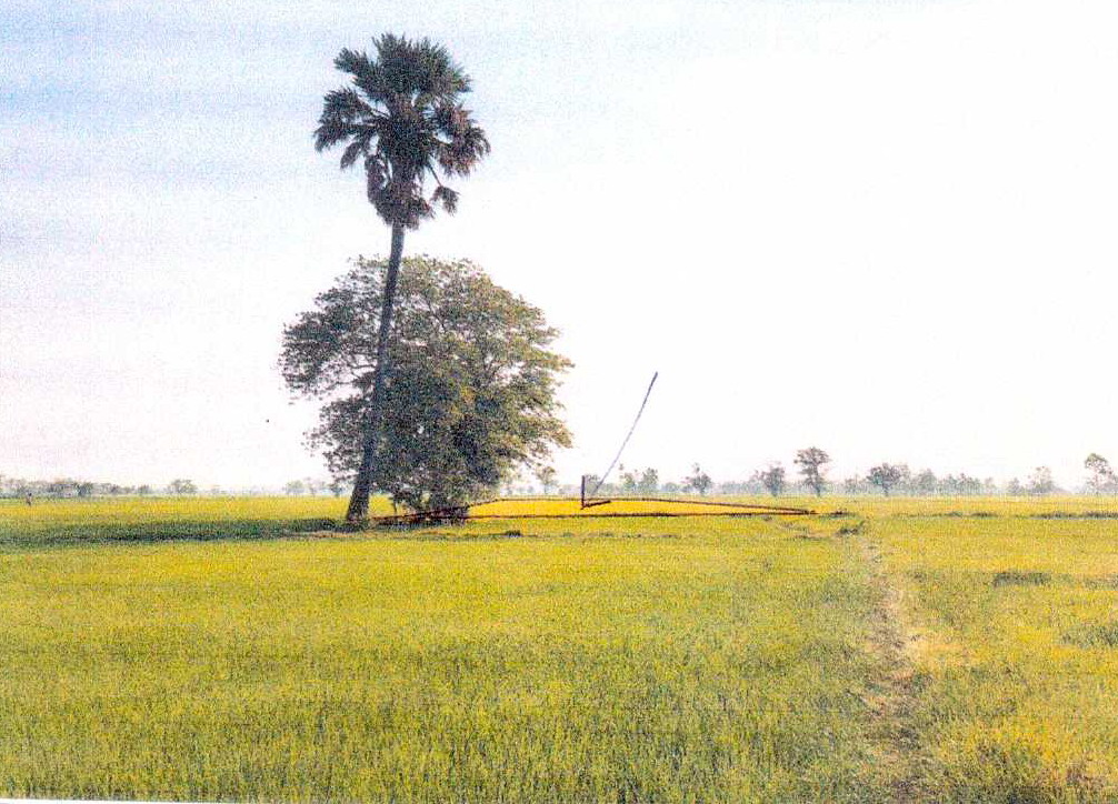 รูปที่ดินว่างเปล่า สงเปือย คำเขื่อนแก้ว ยโสธร