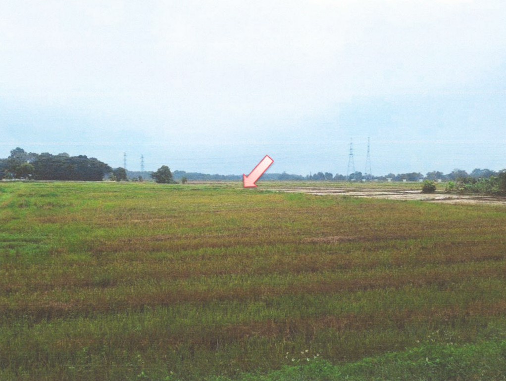 รูปที่ดินว่างเปล่า ท่าวังทอง เมืองพะเยา พะเยา