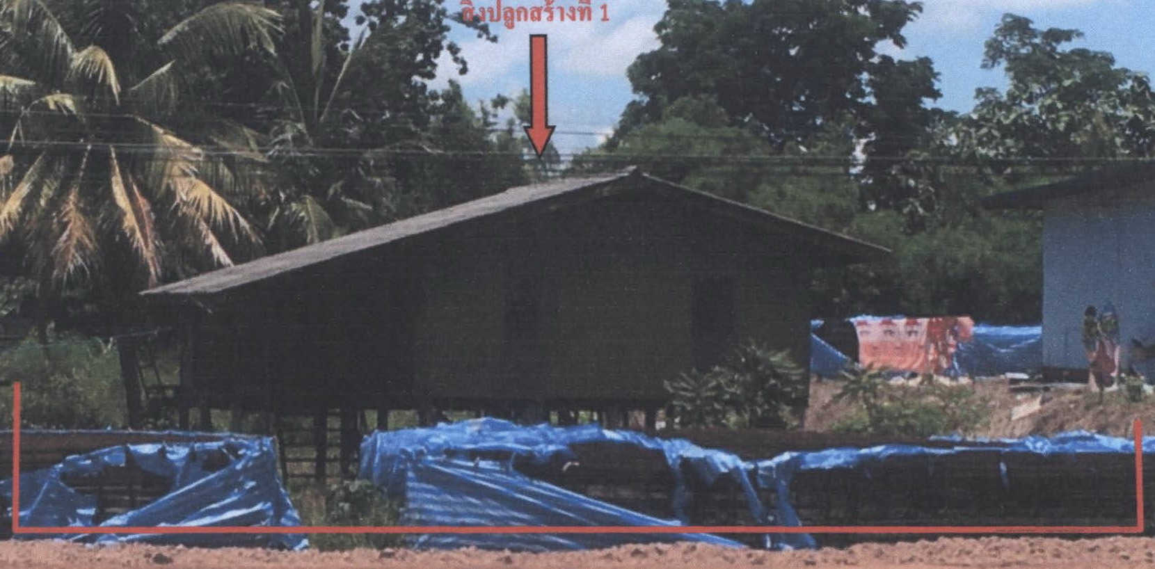 รูปที่ดินพร้อมสิ่งปลูกสร้าง วังงิ้วใต้ ดงเจริญ พิจิตร