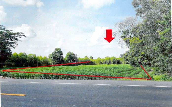 รูปที่ดินว่างเปล่า ทุ่งวัง สตึก บุรีรัมย์