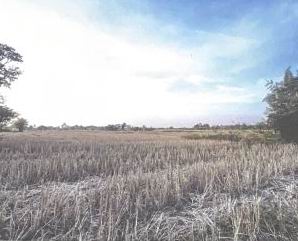 รูปที่ดินว่างเปล่า บงเหนือ สว่างแดนดิน สกลนคร