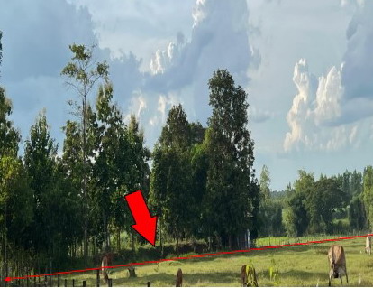 รูปที่ดินว่างเปล่า นามน นามน กาฬสินธุ์