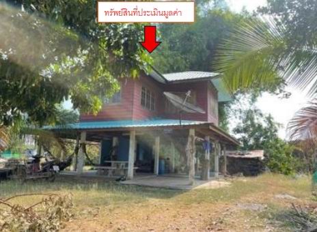 รูปที่ดินพร้อมสิ่งปลูกสร้าง บ้านยาง เกษตรสมบูรณ์ ชัยภูมิ