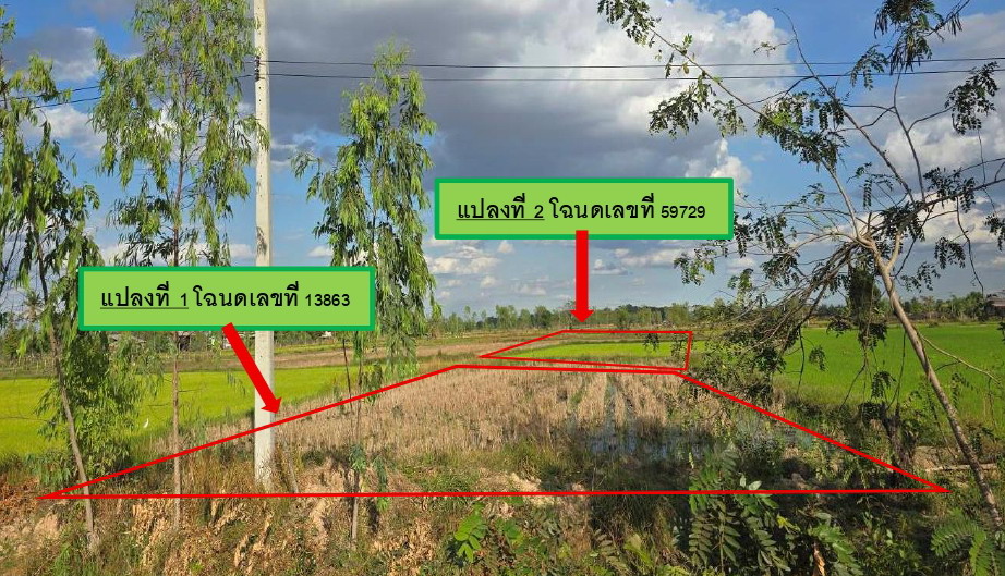 รูปที่ดินว่างเปล่า พอกน้อย พรรณานิคม สกลนคร