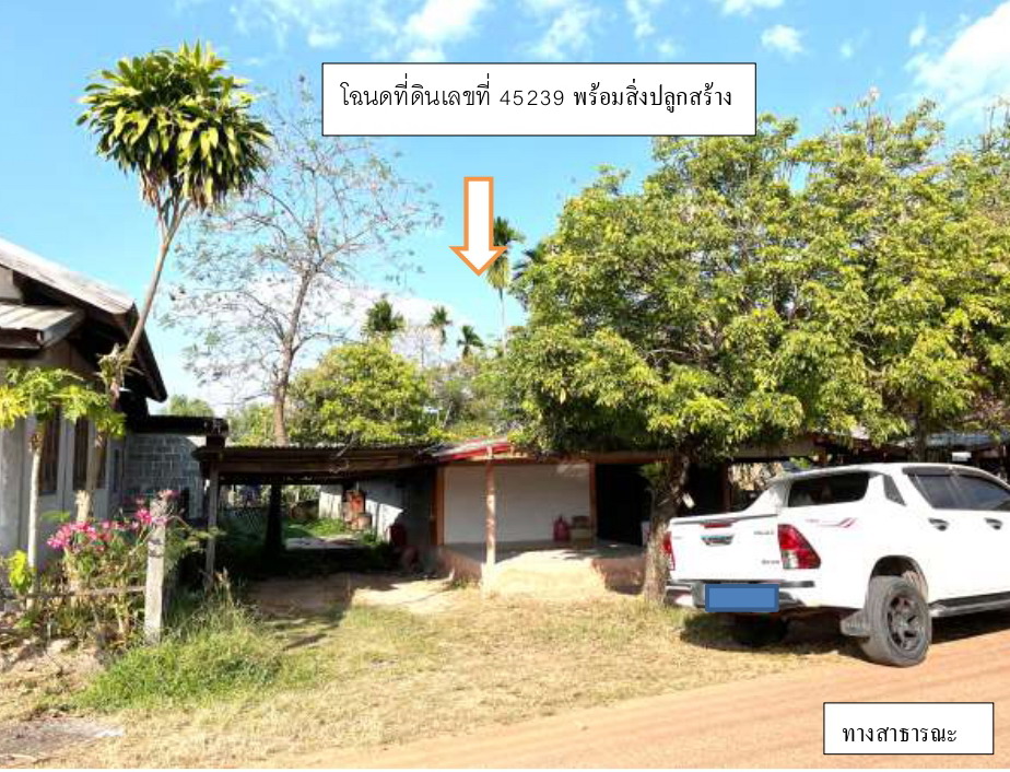 รูปที่ดินพร้อมสิ่งปลูกสร้าง นาแต้ เมืองอำนาจเจริญ อำนาจเจริญ