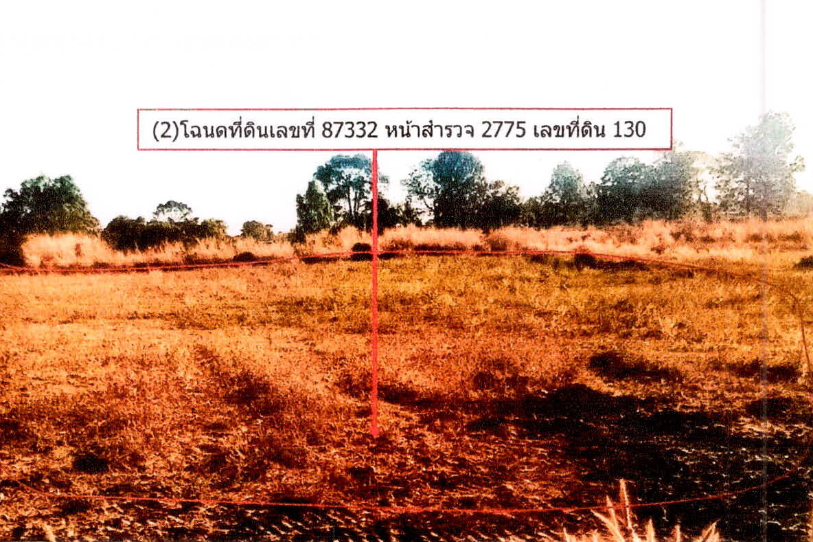 รูปที่ดินว่างเปล่า อี่หล่ำ อุทุมพรพิสัย ศรีสะเกษ